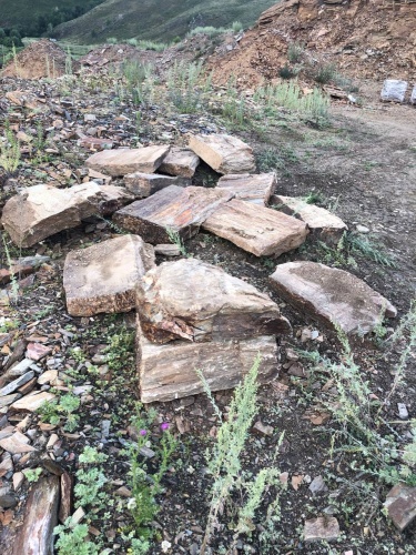 Плитняк кора дерева 50-100мм для пошаговых дорожек купить в Тобольске